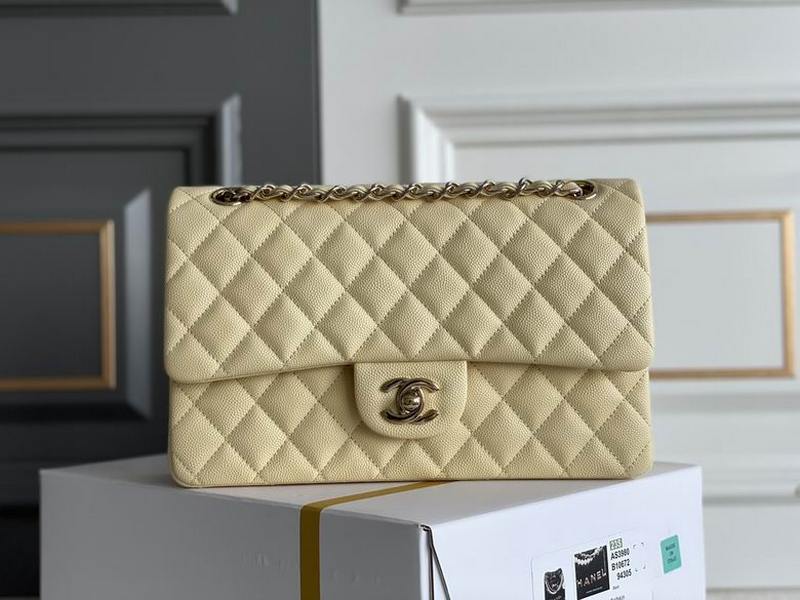 Chanel Handbags 434